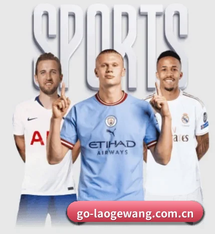 老哥网的故事